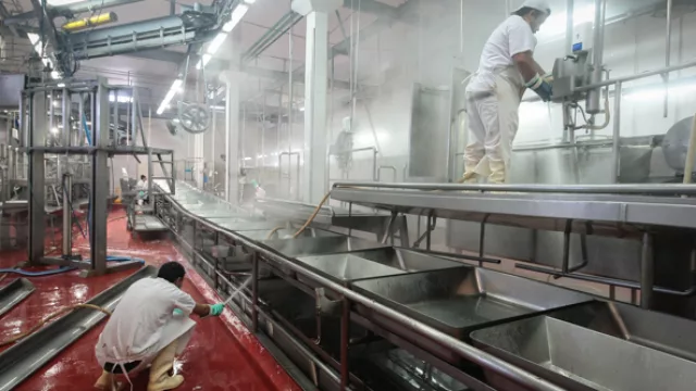 El frigorífico trabaja en un solo turno, después de las 15 comienza un profundo proceso de limpieza. 