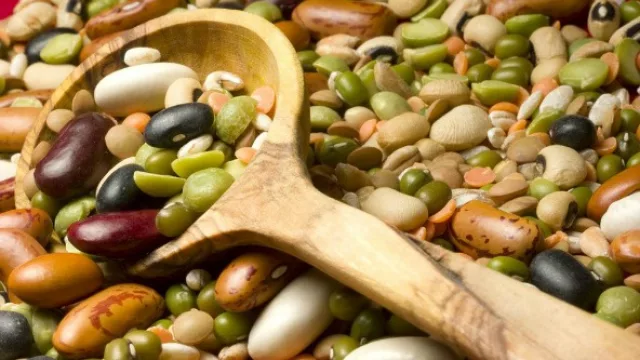 Las legumbres en el centro del análisis: los principales actores se reunieron en Salta