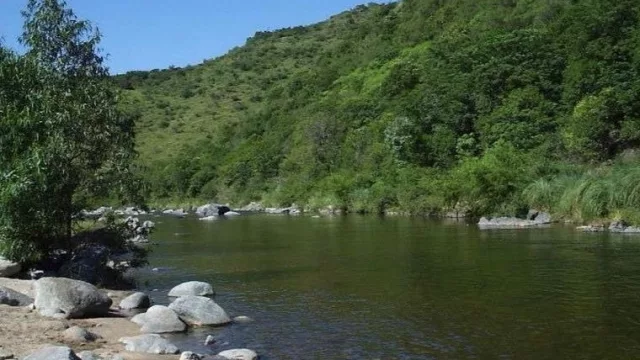 La Paisanita proyecta una reserva natural (serán 4.500 hectáreas de flora y fauna autóctona)