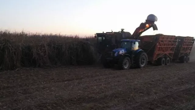 Según UCIT, Tucumán ya lleva producidas unas 300.000 toneladas de azúcar