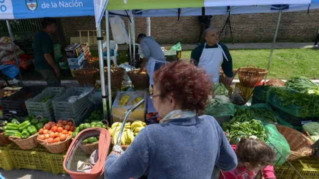 Prepará el carrito para llevarte carne, frutas y verduras hasta un 47% más baratas (El Mercado en Tu Barrio)