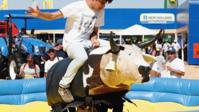 ¡Oleee! Córdoba tiene la única fábrica de toros mecánicos del país (y otros juegos) que ya colocaron en Estados Unidos: cómo nació