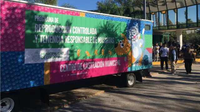 El Móvil Municipal esterilizó y castró 77 mascotas en barrio Cabildo