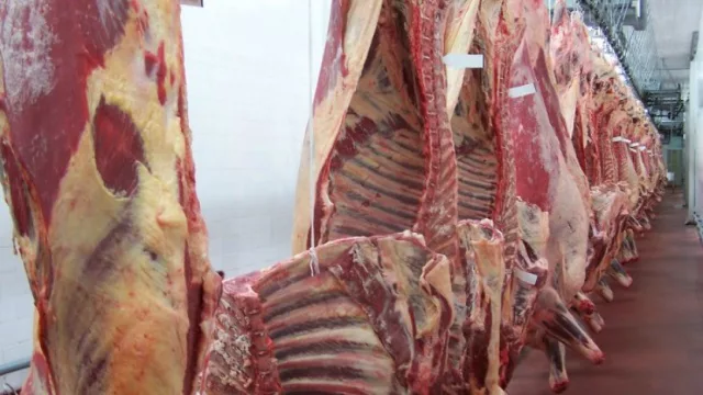 Por demanda de Chile y China se esperan exportar 300 mil toneladas de carne bovina argentina