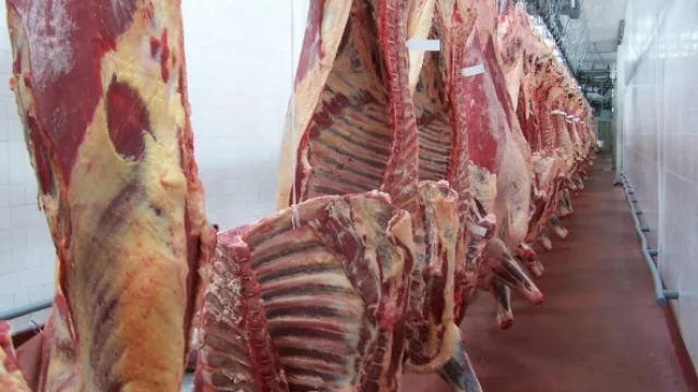 Reintegros a la exportación mejoró la rentabilidad de frigoríficos exportadores.