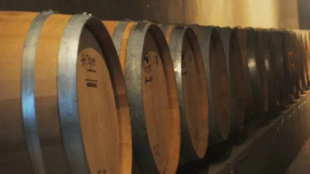  Bodega Las Cañitas brinda por el nuevo logro de su multipremiado Juan Cruz Navarro Torre Reserva