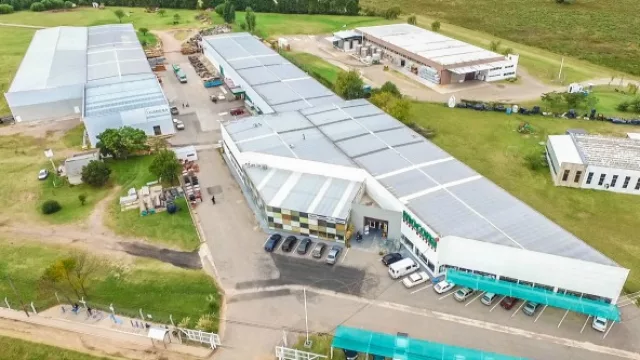 Con esta inversión, Moconá va camino a duplicar su producción en los próximos años.