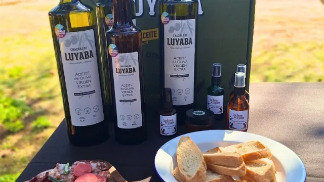 Córdoba suma una nueva ruta turística: el "Camino del Olivo" (lo presentó La Agencia Córdoba Turismo en Luyaba y estuvimos ahí)