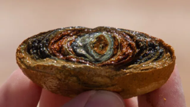 Bayer y la innovación social: un compromiso con el impacto positivo