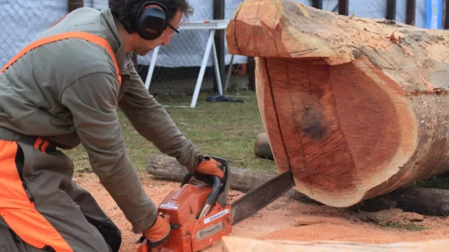 Durante una semana, escultores de cuatro provincias y dos países, realizarán sus obras en la playa Copacabana de Miramar