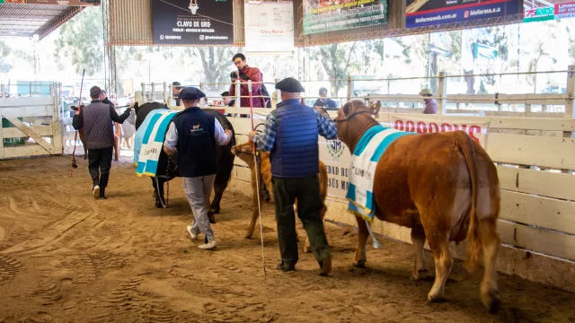 Exposición Rural de Jesús María: a 10 días de comenzar, ya no quedan espacios comerciales (será del 13 al 15 de septiembre)