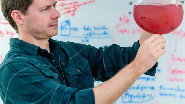 Tintte: la startup cordobesa que encontró color en los microorganismos (y busca convertirlos en un negocio mundial)