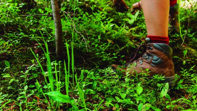 Ansenuza se suma al Mes del Senderismo con propuestas increíbles