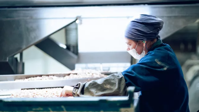 Maniagro invierte US$ 5 millones para ahorrar en agua y fertilizantes (y aumentar el 20% del área de siembra): cómo es el leasing del BICE