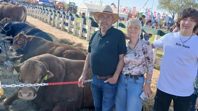 Jesús María: Pagó 40 millones por la mejor genética Limousin (un productor de Tirolesa se llevó al gran Campeón de la raza y otros cuatro toros reproductores)