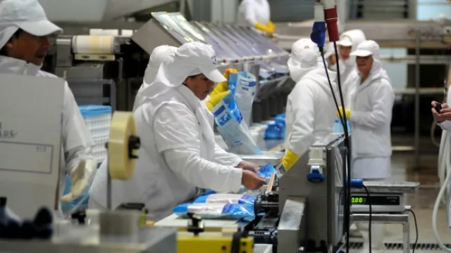 Solimeno: nueva línea de procesamiento y elaboración de alimentos