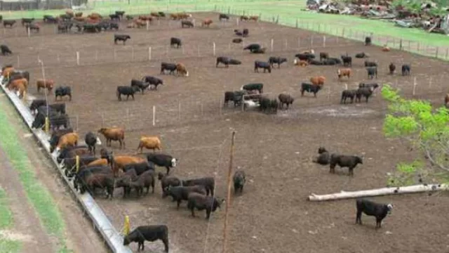 Presentan ‘Producción + energética’ en una nueva edición de Agroactiva