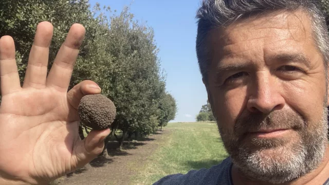 ¿Querés saber como producir tus trufas negras? Lionel Masbou te dice cómo (este 30 de septiembre en Jesús María)