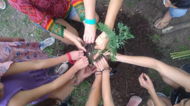 Nace el primer “Bosque de Bolsillo” en Paravachasca (48 especies nativas en 20m2)