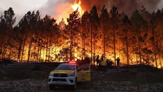 Por los incendios, Córdoba pide que se declare el “Desastre agropecuario” (alcanzaría a establecimientos agrícolas, ganaderos, forestales, apícolas y frutihortícolas)