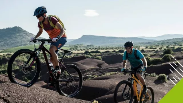 “El crecimiento en ventas de Ciclovía se debe a la tendencia fit”