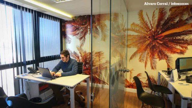 Como estar en el Caribe. La ambientación de las oficinas remite a lugares paradisíacos.