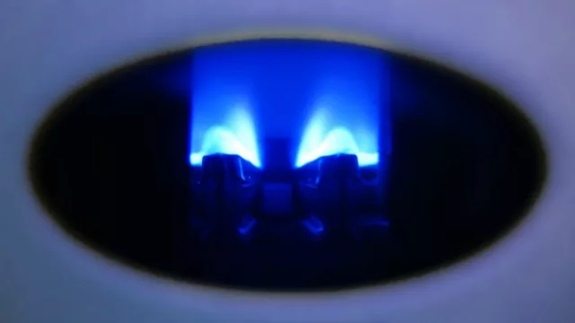 Resultados de encuesta