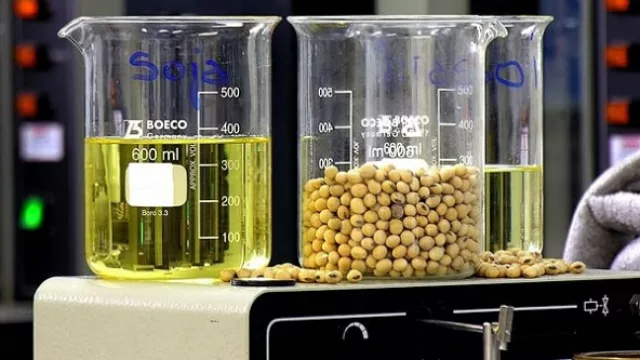 La empresa Keclon instalará una planta productiva a nivel mundial