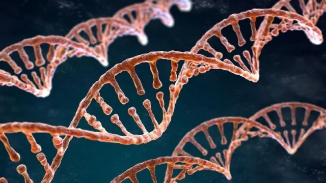 Tus genes hablan de vos… escucharlos ahora es más posible que nunca antes.