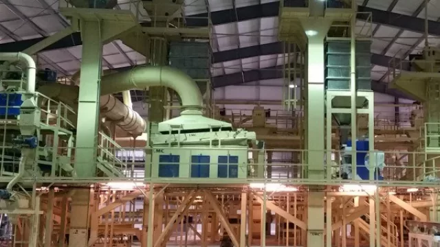 AGD invierte US$ 15 M en "fábrica" de almendras (8.000 kilos por hora y ventiladores antiheladas)