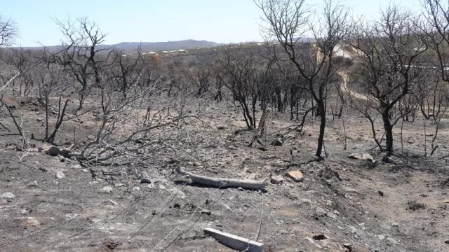 Fuerte crítica de las rurales del arco noroeste cordobés por notificaciones tras los incendios (piden una nueva mesa integral de análisis y trabajo)