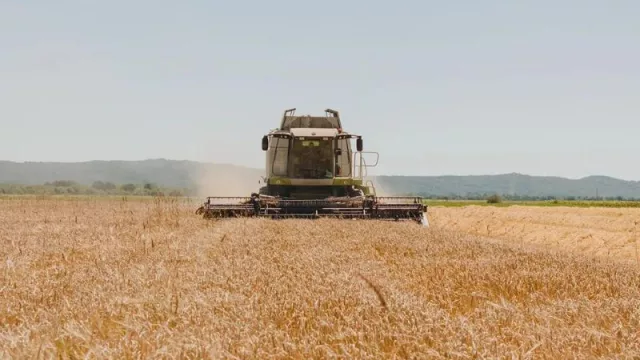 Bunge presentó nuevos avances en fertilizantes nitrogenados (logran 35% más de rendimiento, gracias a la tecnología aplicada)