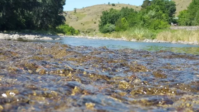 El Durazno va hacia la peatonalización