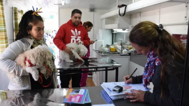 Nuevo Centro de Castración de perros y gatos