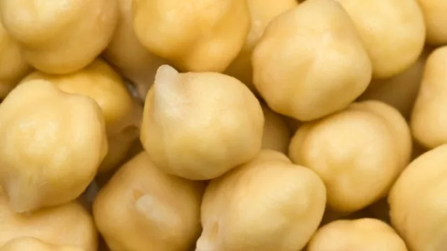 No todo es soja: la cosecha de garbanzo creció 80% y ya es un negocio de $ 3.000 millones en Córdoba