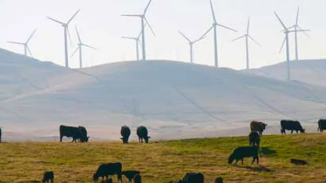 Uruguay empezó, desde ayer, a exportar energía eléctrica a Brasil por Rivera