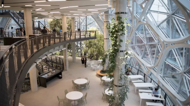 Dime cómo está diseñada tu oficina y te diré cómo te sientes: qué es la neuroarquitectura (y cómo aplicarla en tu espacio laboral)