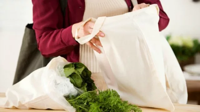 Resultados de encuesta