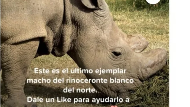 El soltero más codiciado del mundo está en Tinder, es único en su especie y está listo para el amor