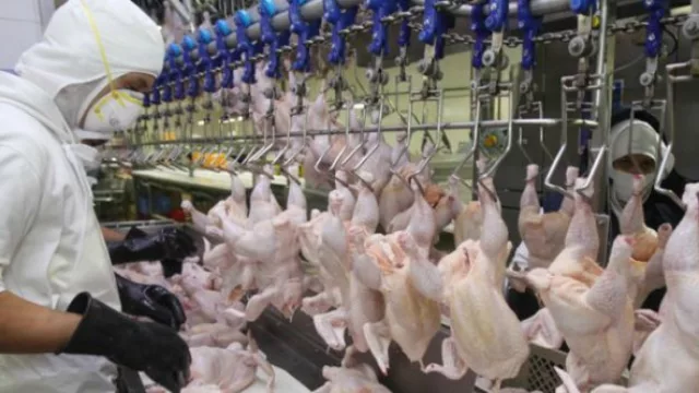 Pollpar invertirá cerca de USD 16 millones en dos nuevas plantas industriales