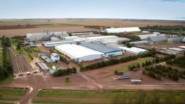 Vista aérea del complejo productivo de Prodeman. En estas semanas, plena época de cosecha, ingresan hasta 150 camiones diarios.