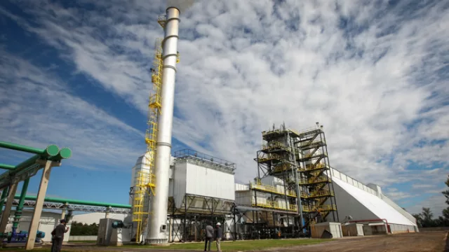 La cáscara de maní se quema y el vapor se transforma en electricidad en la moderna usina.
