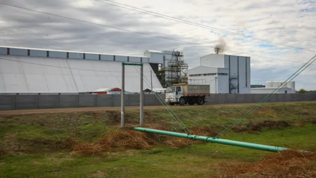 Las cáscaras de maní que se transformarán en energía eléctrica son sopladas por un sistema de tuberías desde la fábrica hasta la usina.