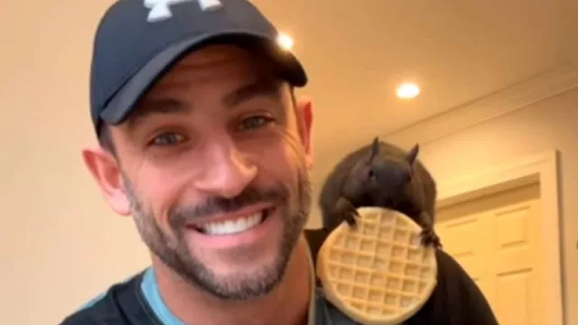 El indignante sacrificio (¿o crimen?) de Peanut: la ardilla mascota de Mark (¿debería esto afectar las elecciones?)