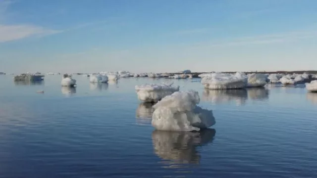 La costa antártica, donde pululan grandes bloques de hielo.