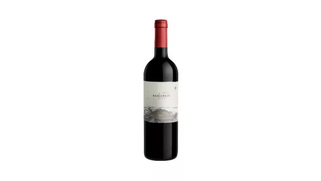 45 Rugientes Merlot 2022, el vino que fue reconocido por Decanter como el Merlot Nº1 de Sudamérica