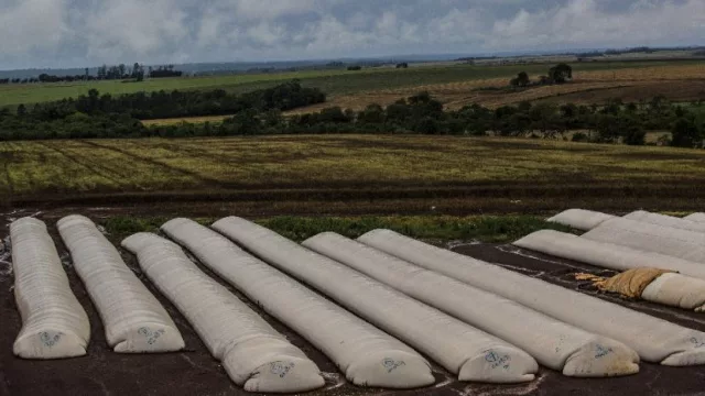 Silo Bolsa vs SiloReal (el monitoreo en tiempo real del Silo Bolsa: certificación de identidad y trazabilidad para la cosecha)