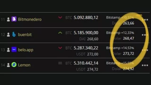Los mercados ya se pusieron nerviosos: el dólar-cripto ya ronda los $ 270 