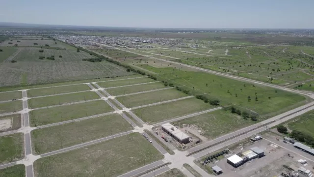 Docta: Proaco cerrará el año con 500 lotes entregados y empezará el 2025 con un colegio funcionando (a partir de marzo)