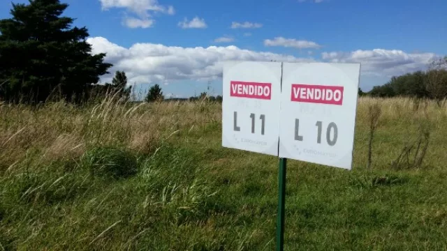 Daminificados que defienden a Euromayor (para no “perder más todavía”) y otros que no...